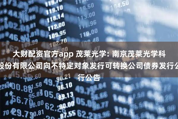 大财配资官方app 茂莱光学: 南京茂莱光学科技股份有限公司向不特定对象发行可转换公司债券发行公告
