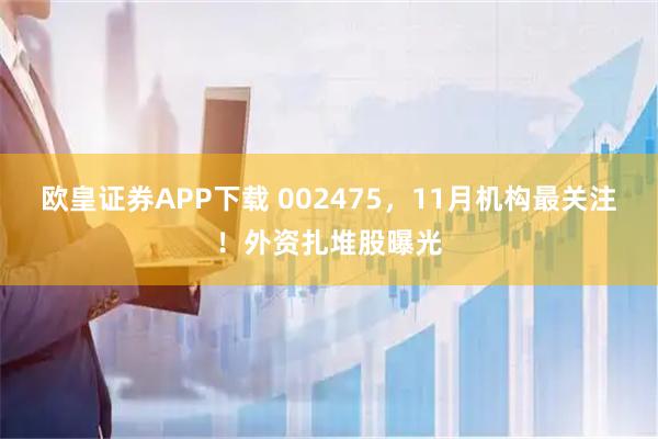 欧皇证券APP下载 002475，11月机构最关注！外资扎堆股曝光