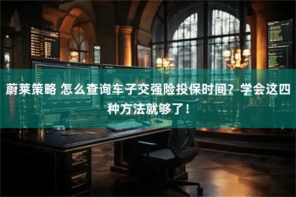 蔚莱策略 怎么查询车子交强险投保时间？学会这四种方法就够了！
